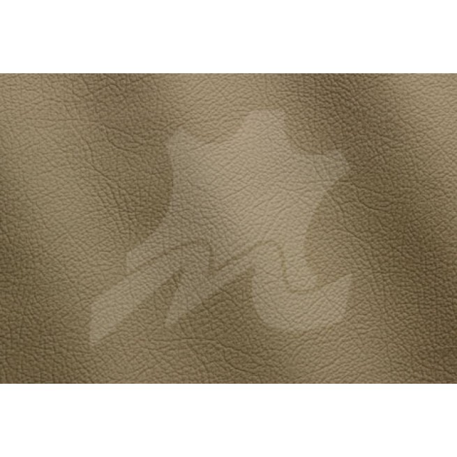 Aligo Group фото